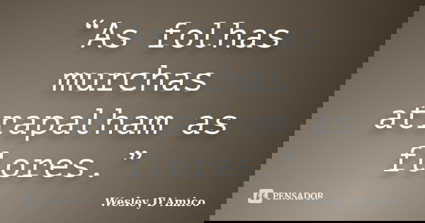 “As folhas murchas atrapalham as flores.”... Frase de Wesley D'Amico.