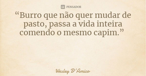 “Burro que não quer mudar de pasto, passa a vida inteira comendo o mesmo capim.”... Frase de Wesley D'Amico.