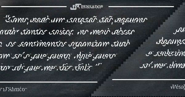 “Como pode um coração tão pequeno guardar tantas coisas, no meio dessa bagunça, os sentimentos organizam tudo e selecionam só o que quero, hoje quero só me lemb... Frase de Wesley D'Amico.