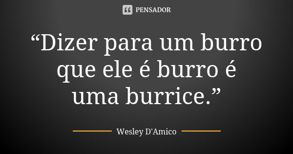 “Dizer para um burro que ele é burro é uma burrice.”... Frase de Wesley D'Amico.