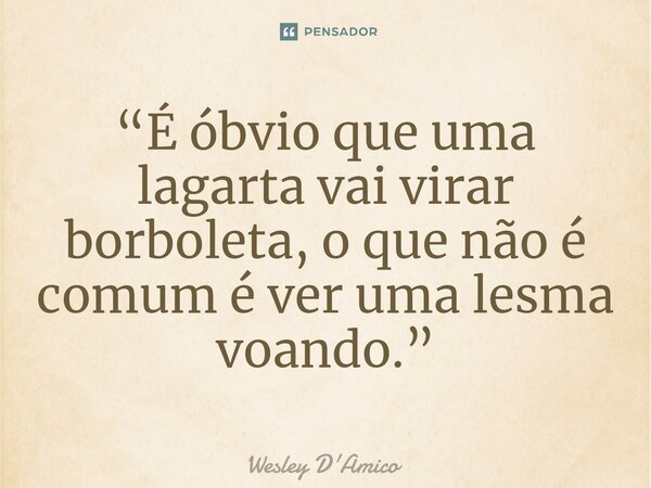 ⁠“É óbvio que uma lagarta vai virar borboleta, o que não é comum é ver uma lesma voando.”... Frase de Wesley D'Amico.