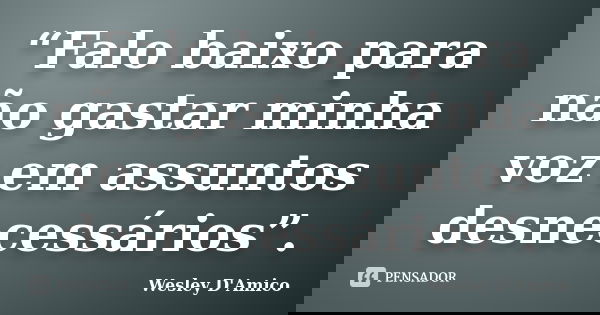 “Falo baixo para não gastar minha voz em assuntos desnecessários”.... Frase de Wesley D'Amico.