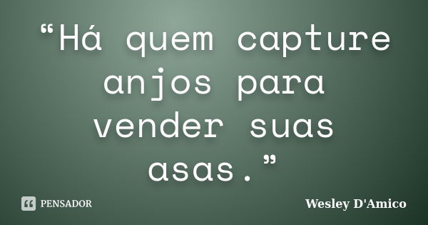 “Há quem capture anjos para vender suas asas.”... Frase de Wesley D'Amico.