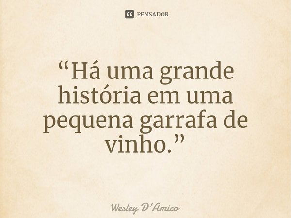 “Há uma grande história em uma pequena garrafa de vinho.”... Frase de Wesley D'Amico.