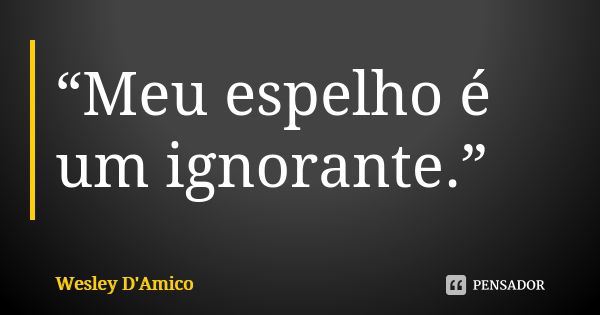 “Meu espelho é um ignorante.”... Frase de Wesley D'Amico.