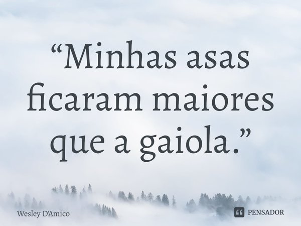 ⁠“Minhas asas ficaram maiores que a gaiola.”... Frase de Wesley D'Amico.