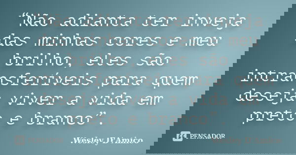 “Não adianta ter inveja das minhas cores e meu brilho, eles são intransferíveis para quem deseja viver a vida em preto e branco”.... Frase de Wesley D'Amico.