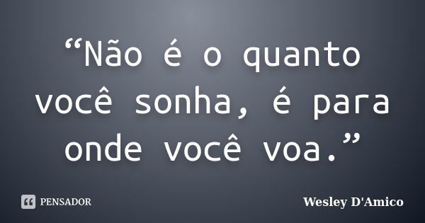 “Não é o quanto você sonha, é para onde você voa.”... Frase de Wesley D'Amico.