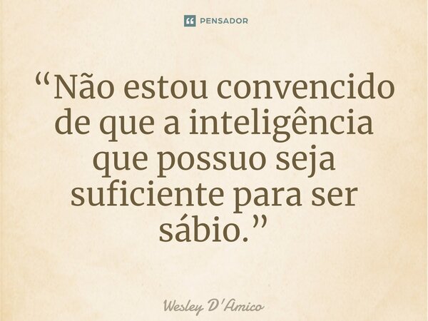 ⁠“Não estou convencido de que a inteligência que possuo seja suficiente para ser sábio.”... Frase de Wesley D'Amico.