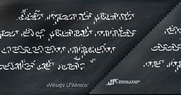 “Não importa quanto tempo leve, quando minhas asas crescerem ninguém me impedirá de voar.”... Frase de Wesley D'Amico.