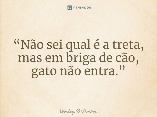 ⁠“Não sei qual é a treta, mas em briga de cão, gato não entra.”... Frase de Wesley D'Amico.