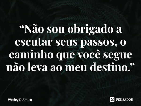 ⁠“Não sou obrigado a escutar seus passos, o caminho que você segue não leva ao meu destino.”... Frase de Wesley D'Amico.
