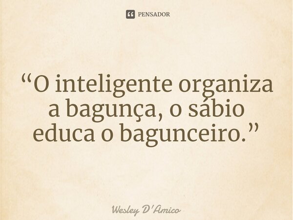⁠“O inteligente organiza a bagunça, o sábio educa o bagunceiro.”... Frase de Wesley D'Amico.