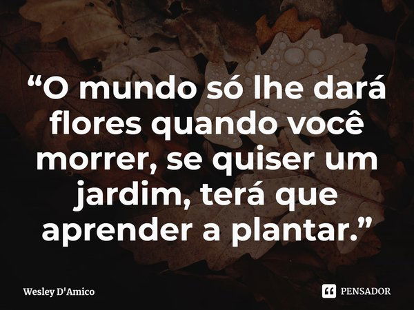 ⁠“O mundo só lhe dará flores quando você morrer, se quiser um jardim, terá que aprender a plantar.”... Frase de Wesley D'Amico.