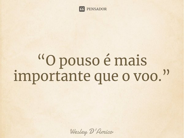 ⁠“O pouso é mais importante que o voo.”... Frase de Wesley D'Amico.