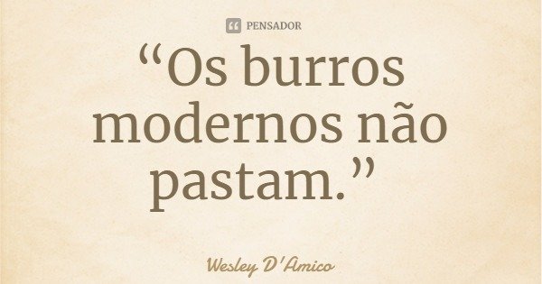 “Os burros modernos não pastam.”... Frase de Wesley D'Amico.