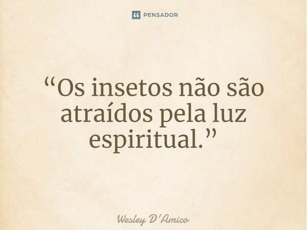 ⁠“Os insetos não são atraídos pela luz espiritual.”... Frase de Wesley D'Amico.
