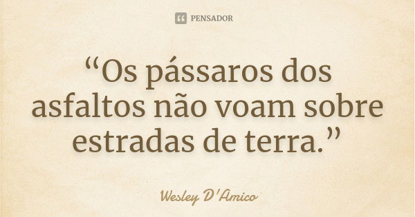 “Os pássaros dos asfaltos não voam sobre estradas de terra.”... Frase de Wesley D'Amico.