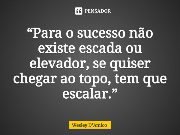 ⁠“Para o sucesso não existe escada ou elevador, se quiser chegar ao topo, tem que escalar.”... Frase de Wesley D'Amico.