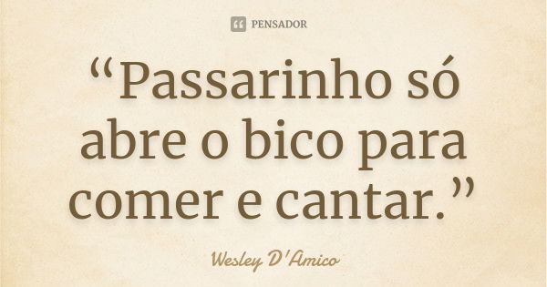 “Passarinho só abre o bico para comer e cantar.”... Frase de Wesley D'Amico.