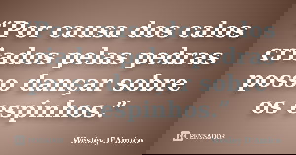 “Por causa dos calos criados pelas pedras posso dançar sobre os espinhos.”... Frase de Wesley D'Amico.