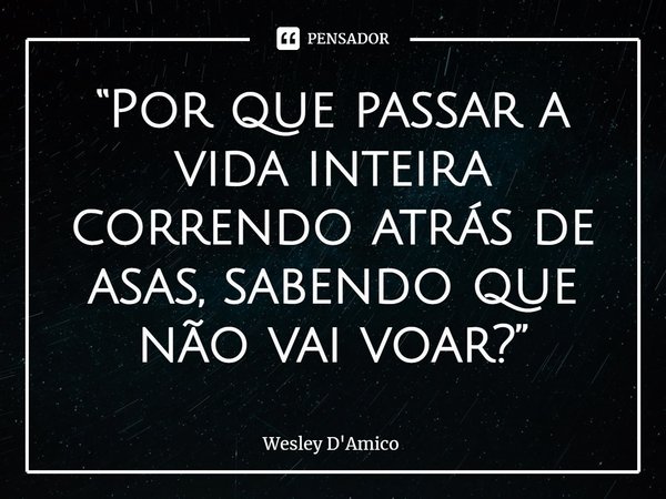 ⁠“Por que passar a vida inteira correndo atrás de asas, sabendo que não vai voar?”... Frase de Wesley D'Amico.