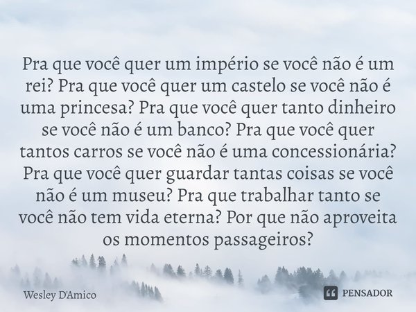 Pra que você quer um império se você não é um rei? Pra que você quer um castelo se você não é uma princesa? Pra que você quer tanto dinheiro se você não é um b... Frase de Wesley D'Amico.