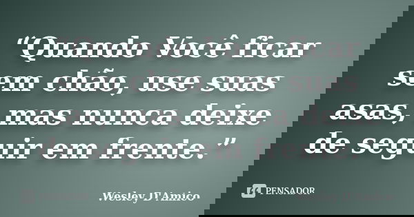 “Quando Você ficar sem chão, use suas asas, mas nunca deixe de seguir em frente.”... Frase de Wesley D'Amico.