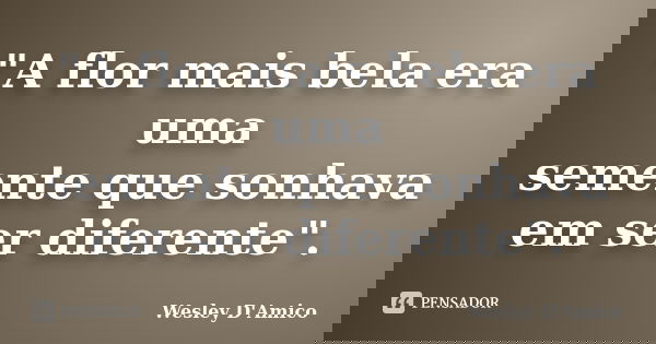 "A flor mais bela era uma semente que sonhava em ser diferente".... Frase de Wesley D'Amico.
