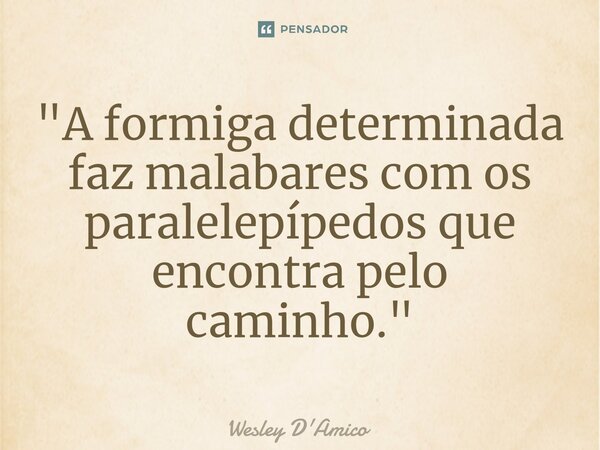 ⁠"A formiga determinada faz malabares com os paralelepípedos que encontra pelo caminho."... Frase de Wesley D'Amico.