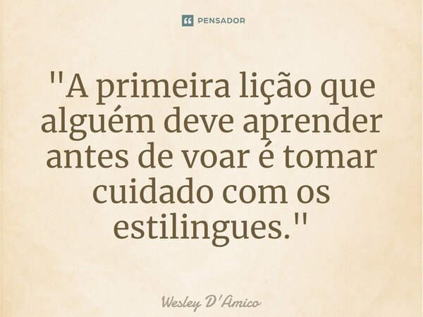 ⁠"A primeira lição que alguém deve aprender antes de voar é tomar cuidado com os estilingues."... Frase de Wesley D'Amico.