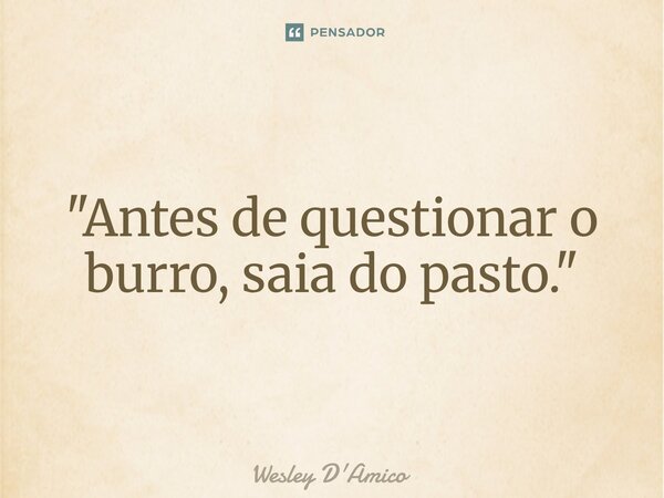 ⁠"Antes de questionar o burro, saia do pasto."... Frase de Wesley D'Amico.