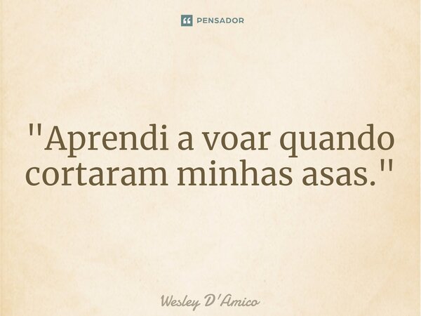 ⁠"Aprendi a voar quando cortaram minhas asas."... Frase de Wesley D'Amico.