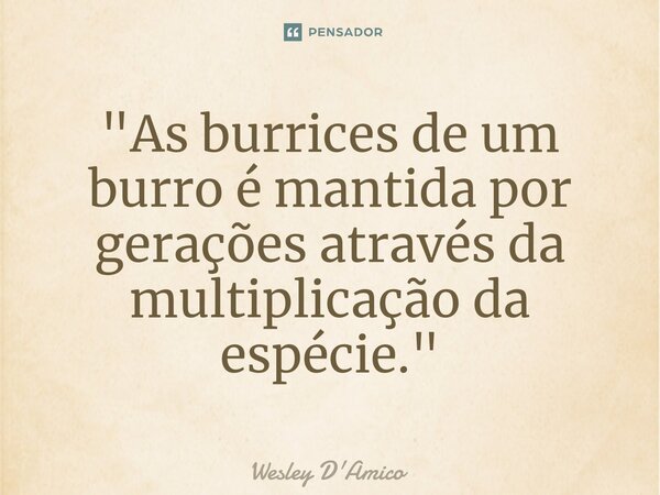 ⁠"As burrices de um burro é mantida por gerações através da multiplicação da espécie."... Frase de Wesley D'Amico.