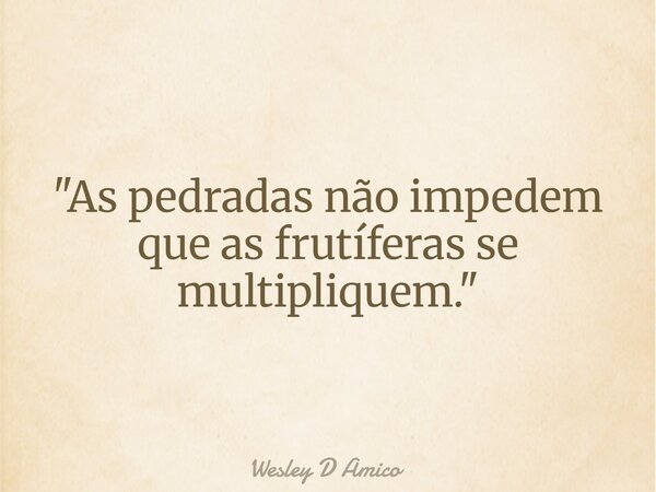 "As pedradas não impedem que as frutíferas se multipliquem."... Frase de Wesley D Amico.