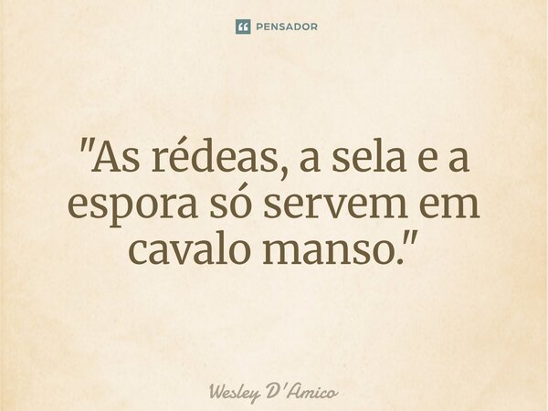 ⁠"As rédeas, a sela e a espora só servem em cavalo manso."... Frase de Wesley D'Amico.