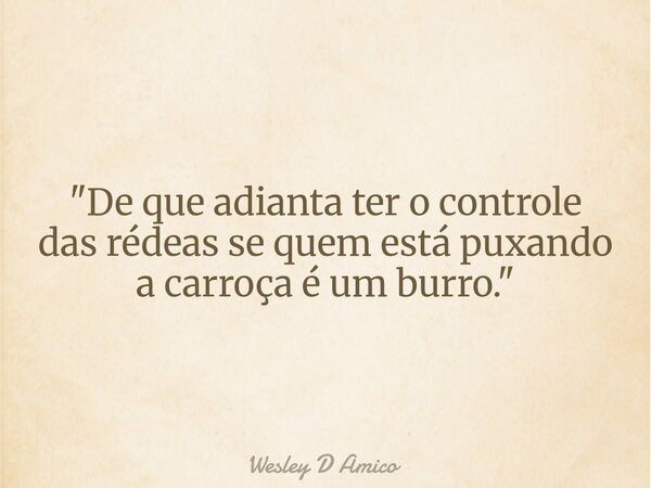 "De que adianta ter o controle das rédeas se quem está puxando a carroça é um burro."... Frase de Wesley D Amico.