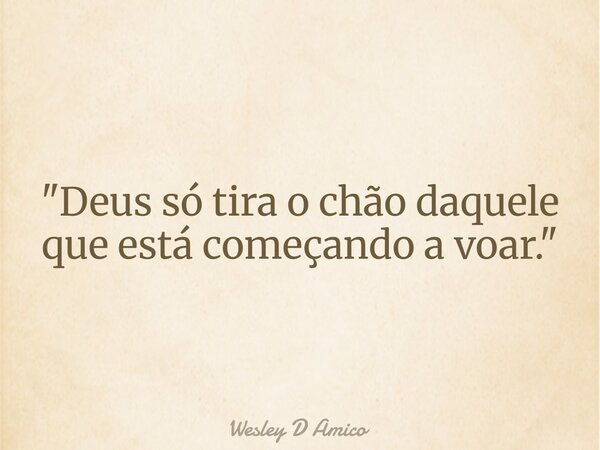 "Deus só tira o chão daquele que está começando a voar."... Frase de Wesley D Amico.