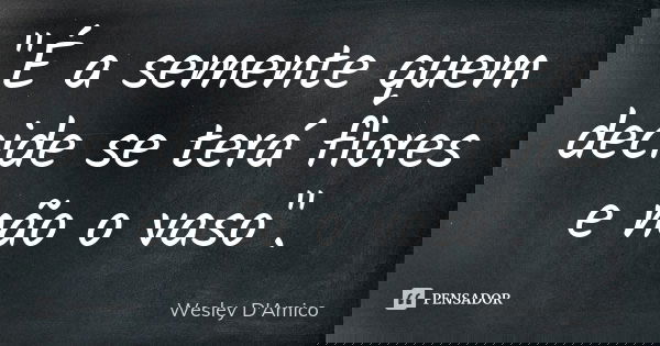 "É a semente quem decide se terá flores e não o vaso".... Frase de Wesley D'Amico.