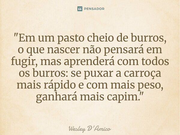 ⁠"Em um pasto cheio de burros, o que nascer não pensará em fugir, mas aprenderá com todos os burros: se puxar a carroça mais rápido e com mais peso, ganhar... Frase de Wesley D'Amico.