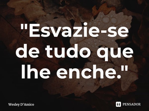 ⁠⁠"Esvazie-se de tudo que lhe enche."... Frase de Wesley D'Amico.