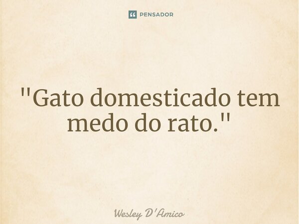 ⁠"Gato domesticado tem medo do rato."... Frase de Wesley D'Amico.