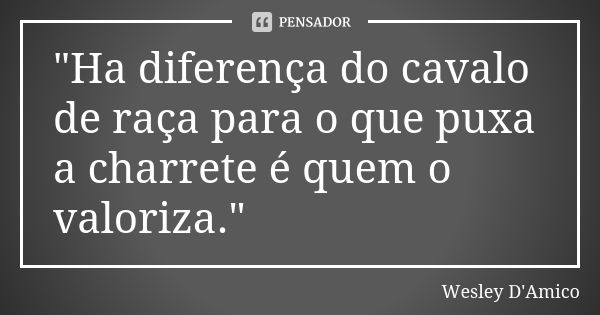 "Ha diferença do cavalo de raça para o que puxa a charrete é quem o valoriza."... Frase de Wesley D'Amico.