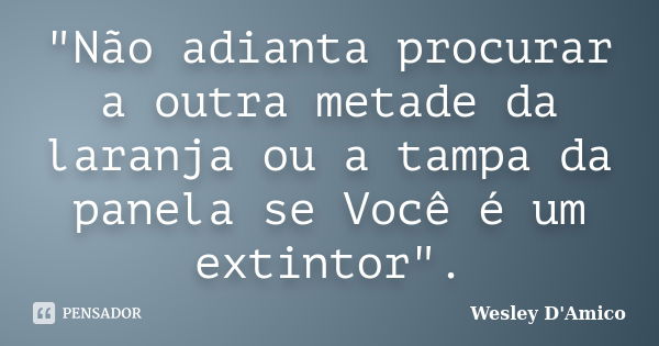 "Não adianta procurar a outra metade da laranja ou a tampa da panela se Você é um extintor".... Frase de Wesley D'Amico.