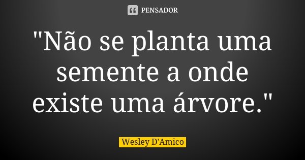 "Não se planta uma semente a onde existe uma árvore."... Frase de Wesley D'Amico.