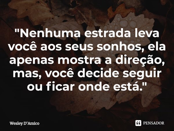 ⁠"Nenhuma estrada leva você aos seus sonhos, ela apenas mostra a direção, mas, você decide seguir ou ficar onde está."... Frase de Wesley D'Amico.