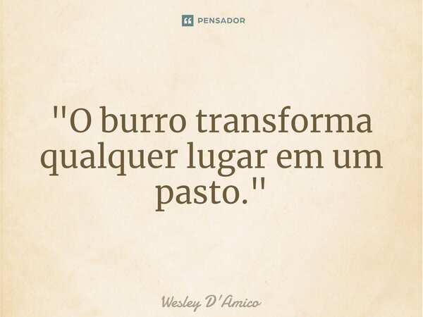 ⁠"O burro transforma qualquer lugar em um pasto."... Frase de Wesley D'Amico.