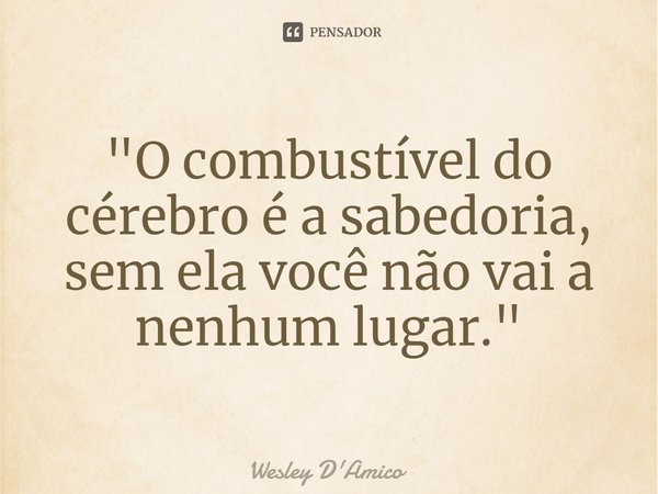 ⁠"O combustível do cérebro é a sabedoria, sem ela você não vai a nenhum lugar."... Frase de Wesley D'Amico.