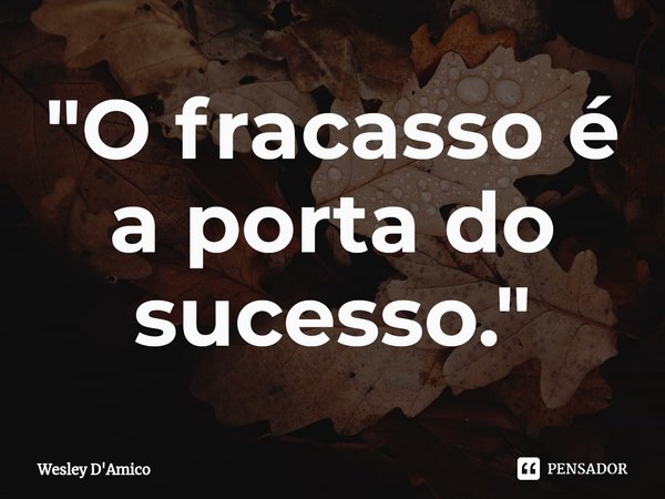 ⁠"O fracasso é a porta do sucesso."... Frase de Wesley D'Amico.