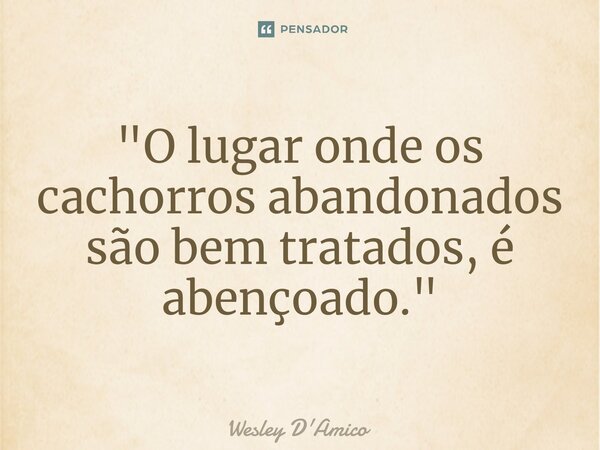 ⁠"O lugar onde os cachorros abandonados são bem tratados, é abençoado."... Frase de Wesley D'Amico.
